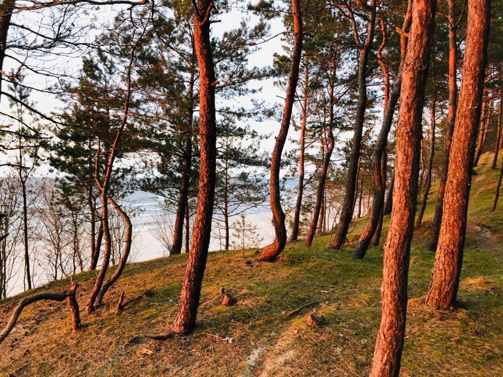 Domki Skowronki Kąty Rybackie Buitenkant foto