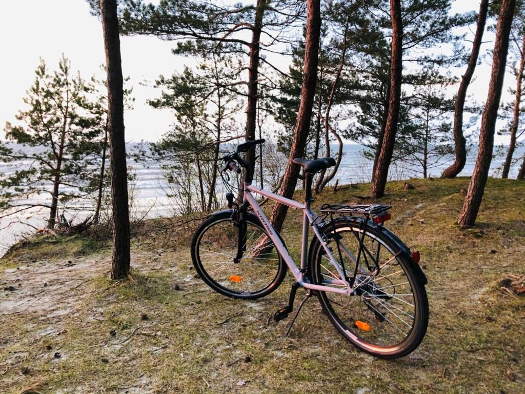 Domki Skowronki Kąty Rybackie Buitenkant foto