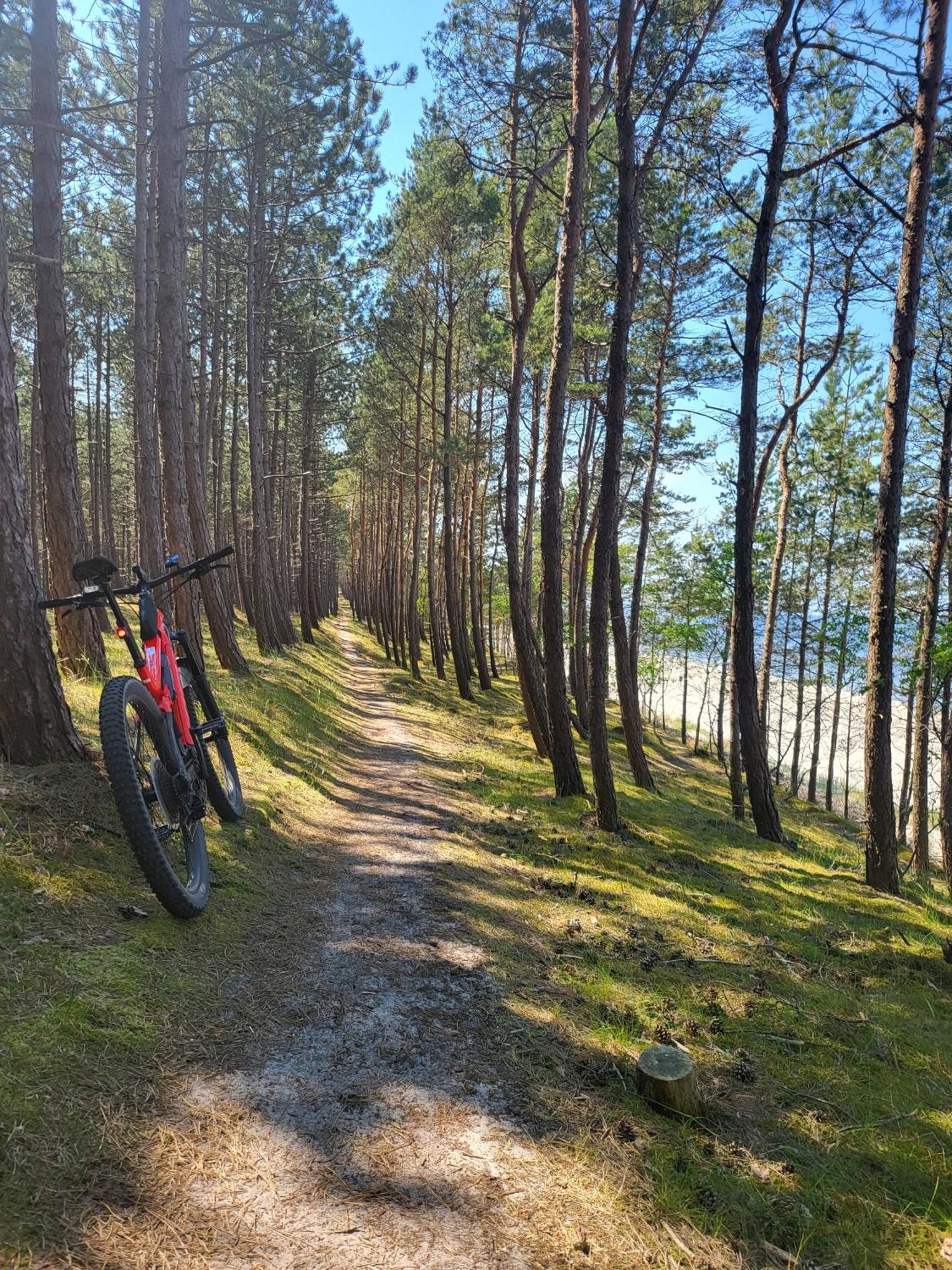 Domki Skowronki Kąty Rybackie Buitenkant foto