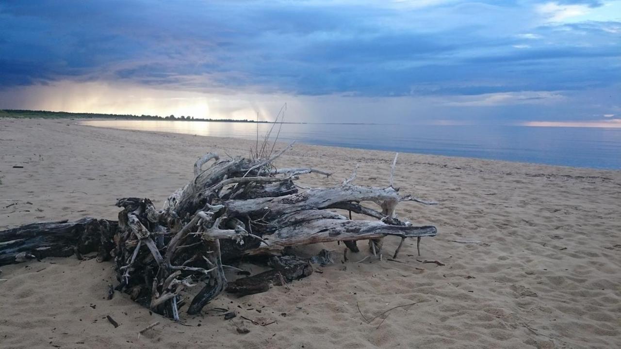 Domki Skowronki Kąty Rybackie Buitenkant foto